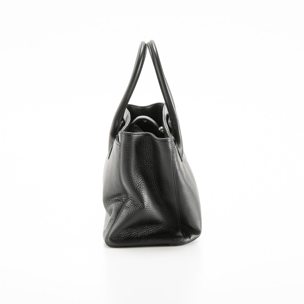 Executive tote