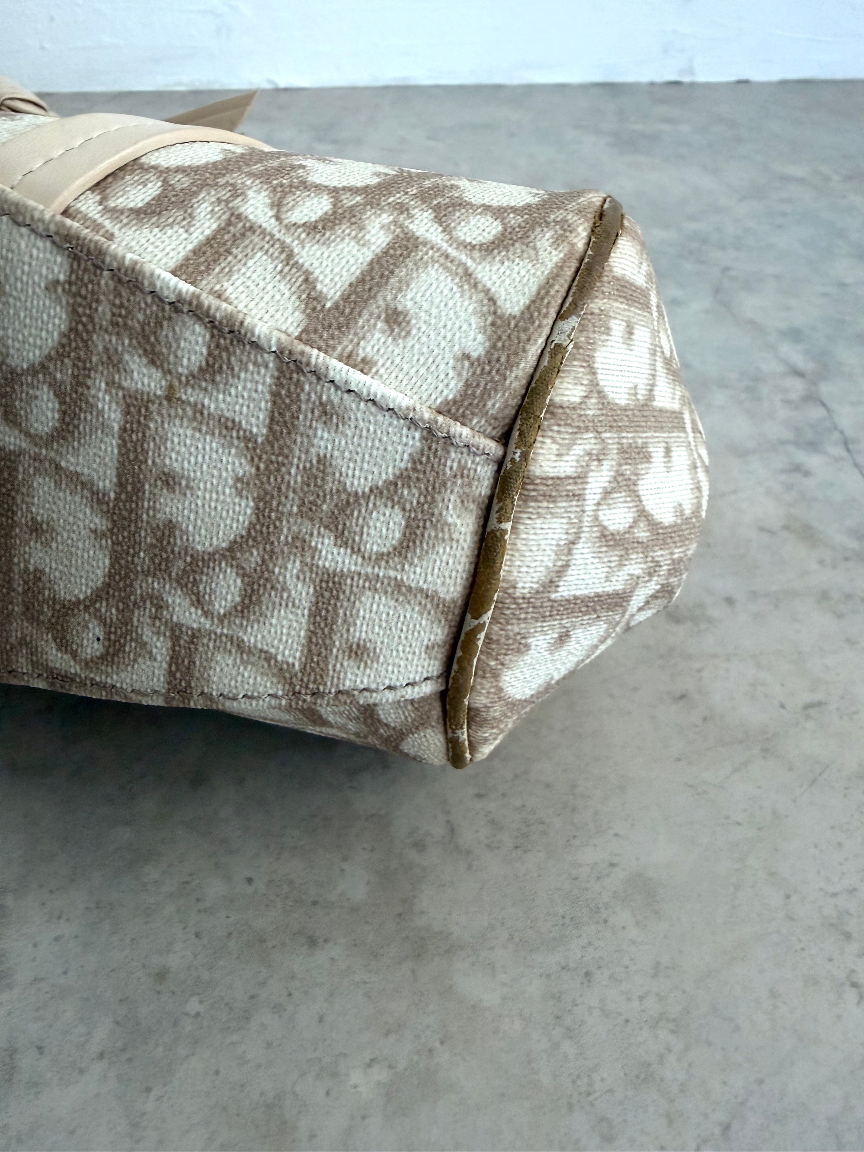 Romantique Trotter Canvas Handbag Beige Y2K